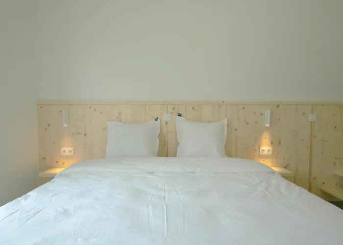 Zaelig Hotel